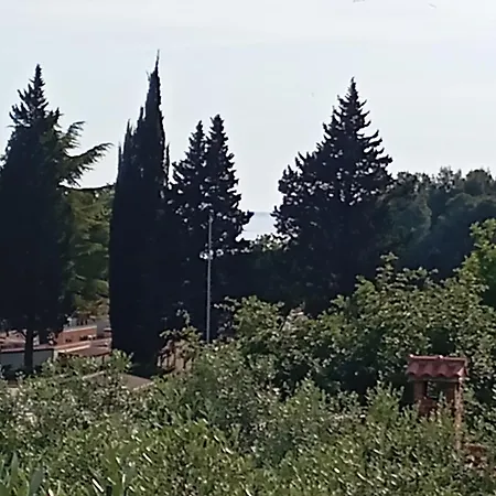 Portun * Vrsar